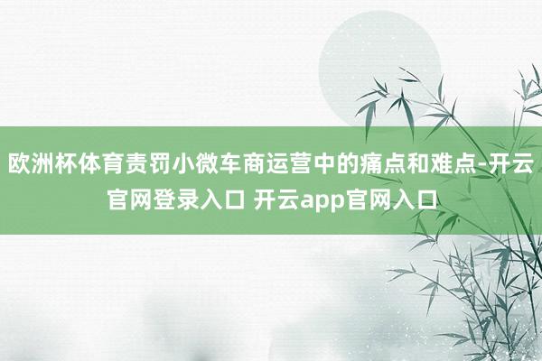 欧洲杯体育责罚小微车商运营中的痛点和难点-开云官网登录入口 开云app官网入口