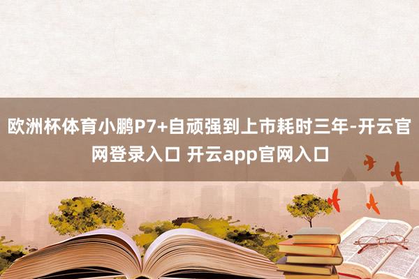 欧洲杯体育小鹏P7+自顽强到上市耗时三年-开云官网登录入口 开云app官网入口